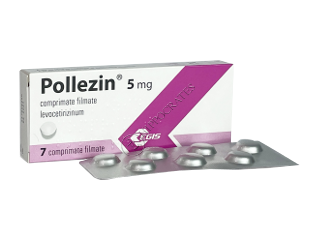 Pollezin