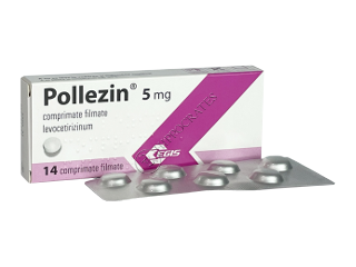 Pollezin