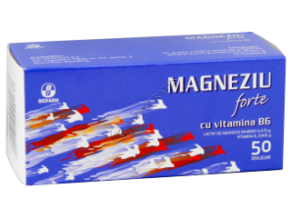 Magnefort B6