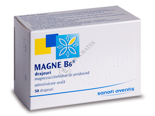 Magne B6