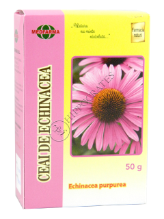 Echinacea purpurea (Echinacea, Эхинацея) flores