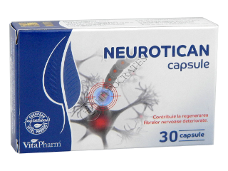 Neurotican