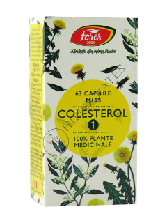 Colesterol 1