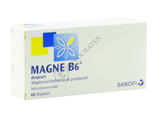 Magne B6