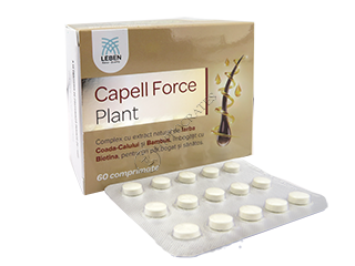 Capelle Force Plant