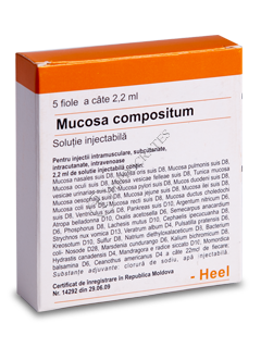 Mucosa compositum