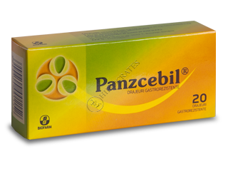 Panzcebil